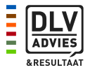 DLV Advies